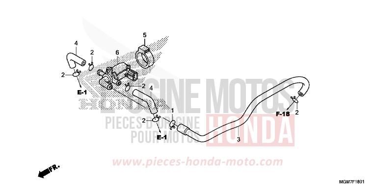 LUFTEINSPRITZ-STEUERVENTIL von Hornet ABS MAT CYNOS GRAY METALLIC (NH312) von 2013
